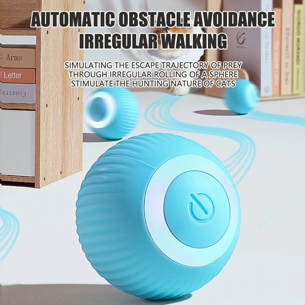 Pet Automatic Rolling Ball