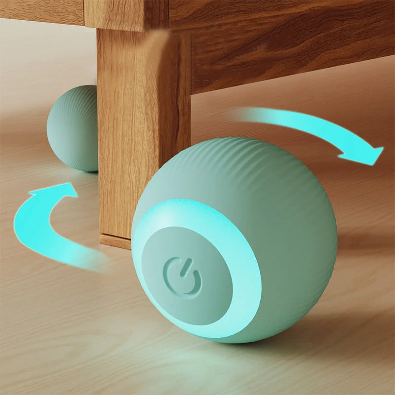 Pet Automatic Rolling Ball