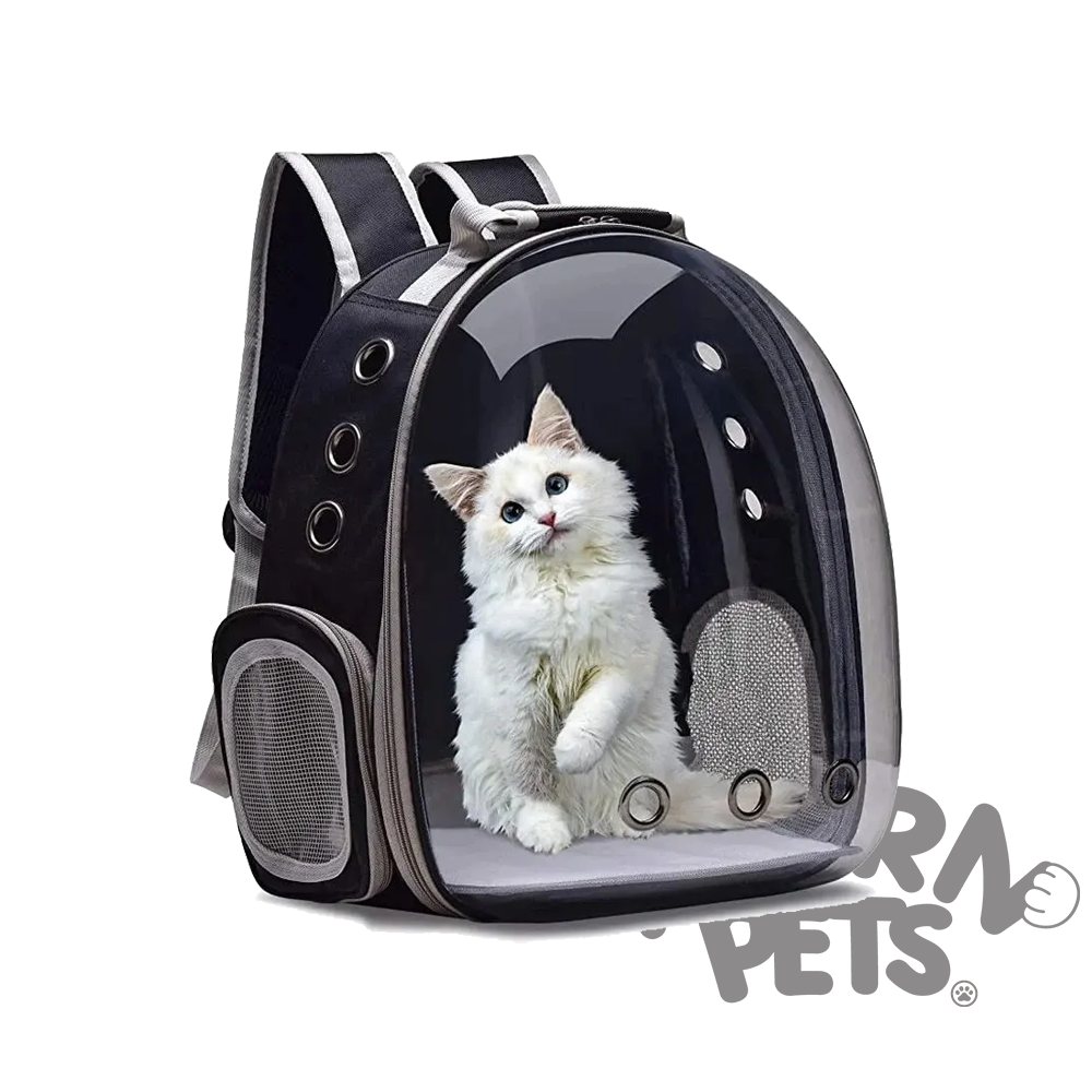 Transparent Pet Carrier Backpack