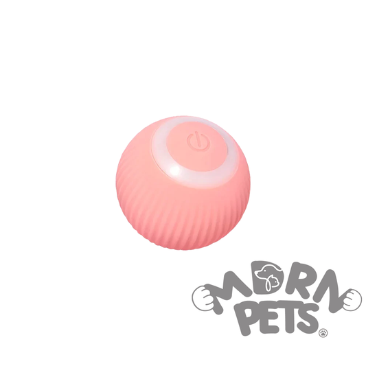 Pet Automatic Rolling Ball