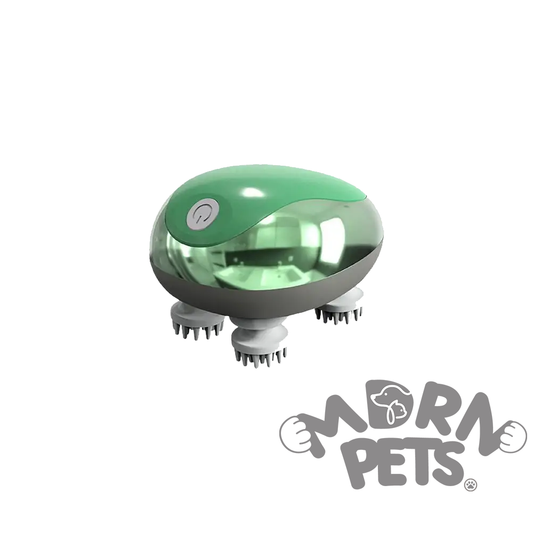 Pet Massager