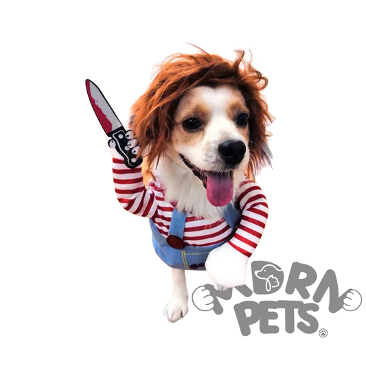 Pet Halloween Costume