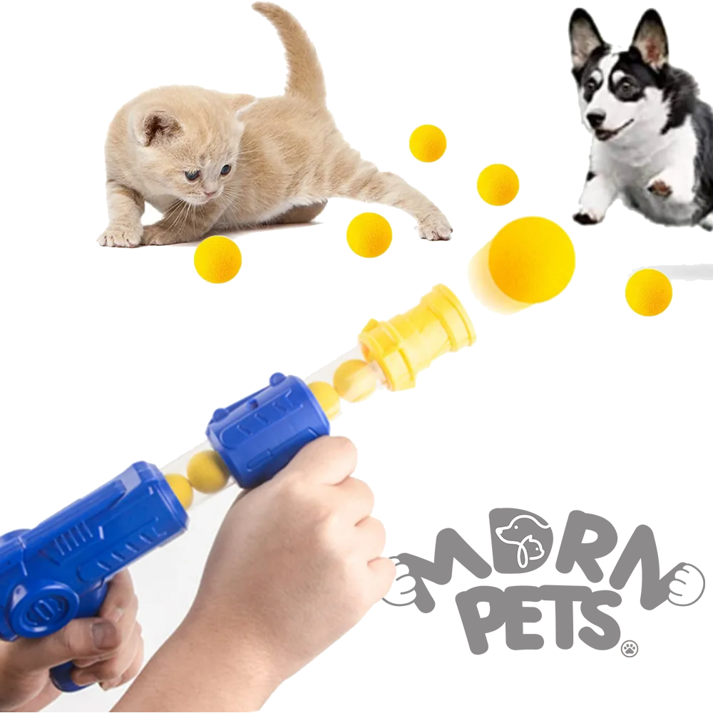 Pet ball launcher