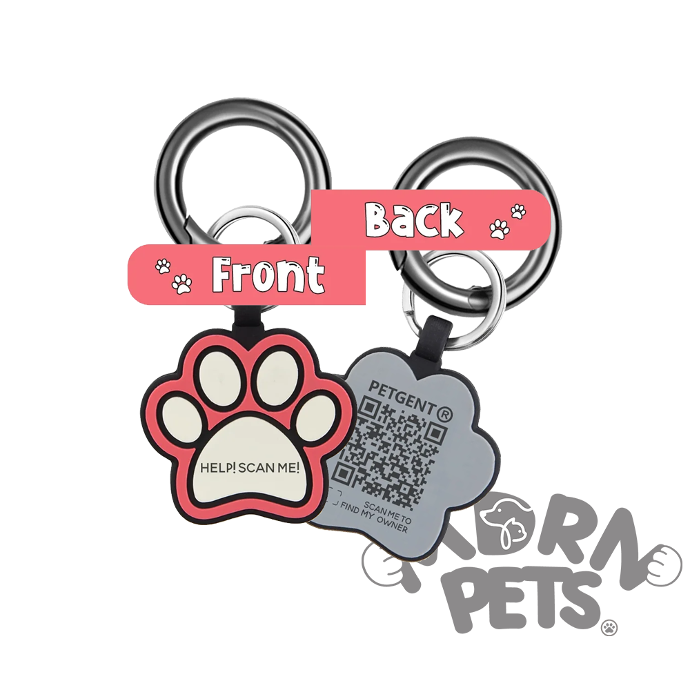 QR Code Pet ID Tag